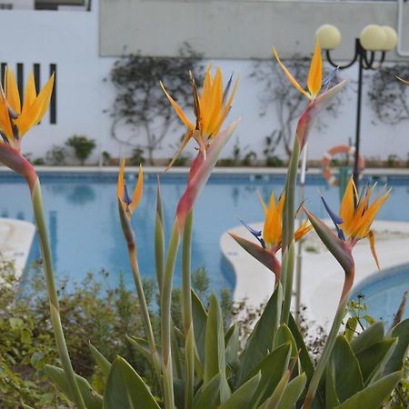 Apartamento Proximo Da Marina Vilamoura C/Piscina E Estacionamento 외부 사진